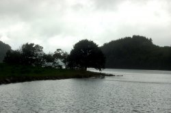 Lenefjord